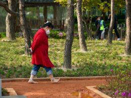 동대문구, 70·80대 남성 ‘힐링 걷기’ 참여자 모집 기사 이미지