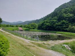 용인특례시, 반딧불이 서식처 복원 앞서 식생 환경 조사 기사 이미지