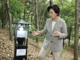 은평구, 여름철 대발생 '러브버그' 친환경 방제 총력 기사 이미지