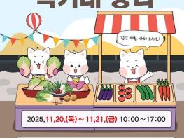 양천구, '김장철 직거래 장터'에서 합리적 가격으로 김장재료 준비하세요! 기사 이미지