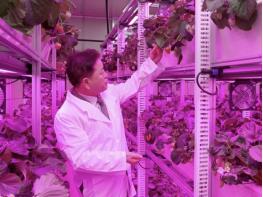 스마트팜 딸기로 배우고 나누고 즐기고…광명시, 어린이·취약계층 대상 딸기 체험 프로그램 무료 운영 기사 이미지