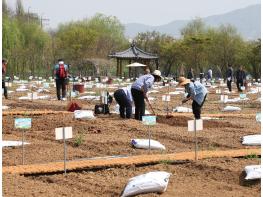 강남구, 구민 호응 힘입어 힐링텃밭 확대…수서동 힐링텃밭 신규 개장 기사 이미지