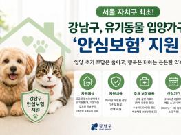 강남구, 서울 자치구 최초 유기동물 입양가구 '안심보험' 지원 기사 이미지